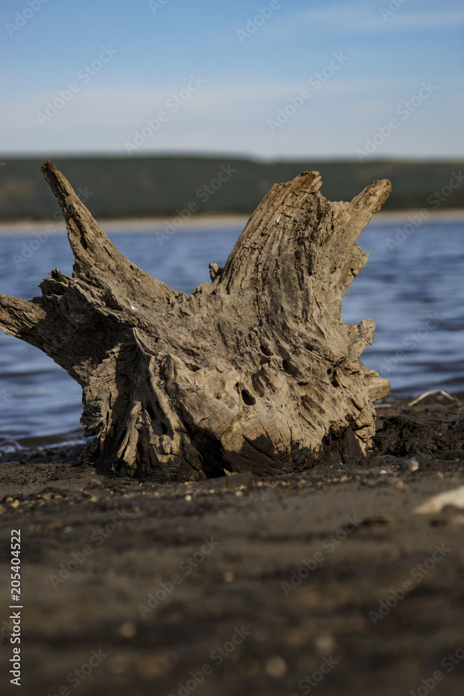 Russia, Siberia, Angara coast