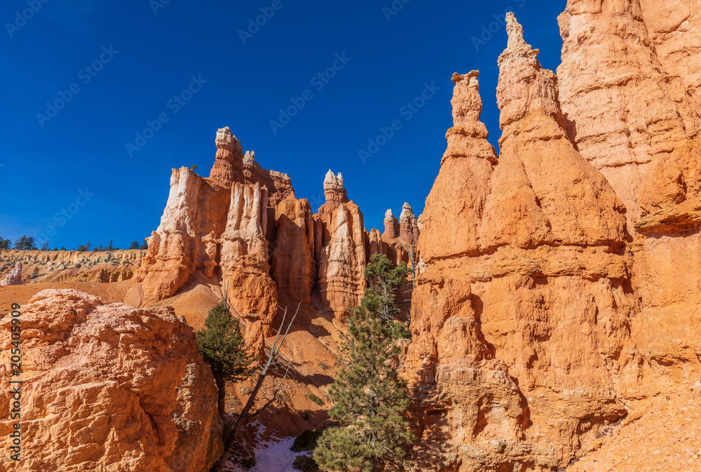 Winter Landscape in Bryce Canyon Utah Winter Landscape in Bryce Canyon Utah