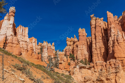 Winter Landscape in Bryce Canyon Utah