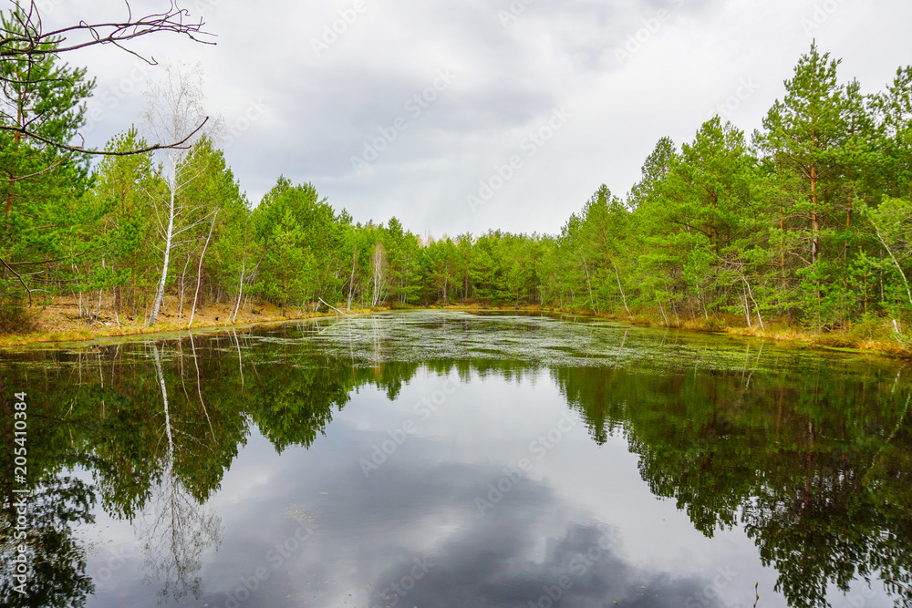 bosque con lago en Bielorrusia bosque con lago en Bielorrusia