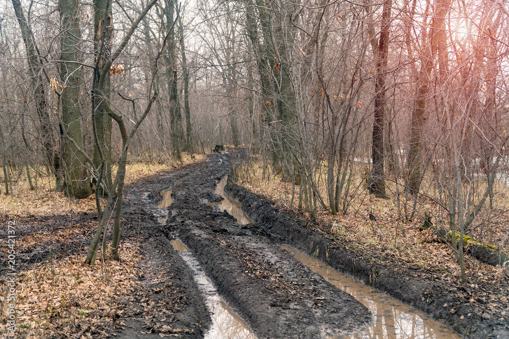 Fototapeta premium Dirty autumn road in a forest