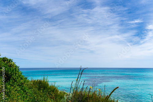 Mallorca, Green plants and colorful flowers with sun and blue endless sea horizon behind