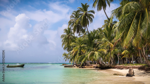 Fototapeta Naklejka Na Ścianę i Meble -  A beautiful beach with green palm trees on a tropical caribbean island in the paradisiacal San Blas Islands, Panama.