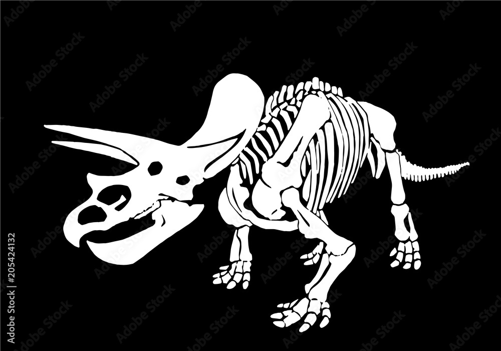 Graphical dinosaur skeleton isolated on black background,vector ...