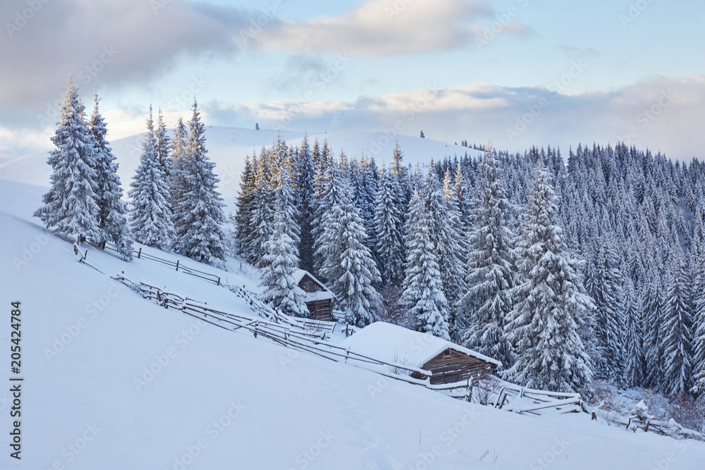 Fantastic winter landscape, the steps that lead to the cabin. Magic event in frosty day. In anticipation of the holiday. Dramatic scenes. Carpathian, Ukraine, Europe Fantastic winter landscape, the steps that lead to the cabin. Magic event in frosty day. In anticipation of the holiday. Dramatic scenes. Carpathian, Ukraine, Europe
