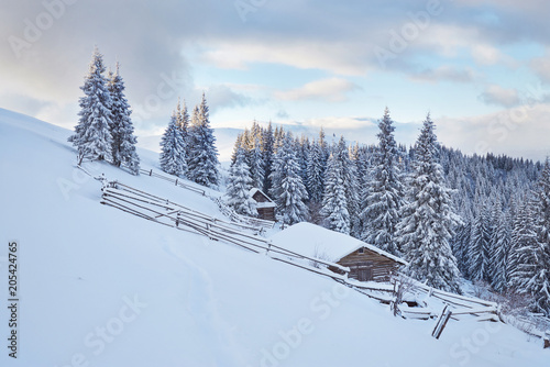 Fantastic winter landscape, the steps that lead to the cabin. Magic event in frosty day. In anticipation of the holiday. Dramatic scenes. Carpathian, Ukraine, Europe © standret