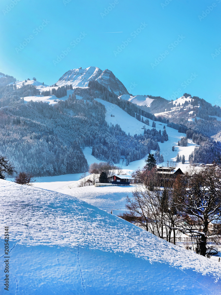 Beautiful landscape at Gruyeres region at winter Switzerland