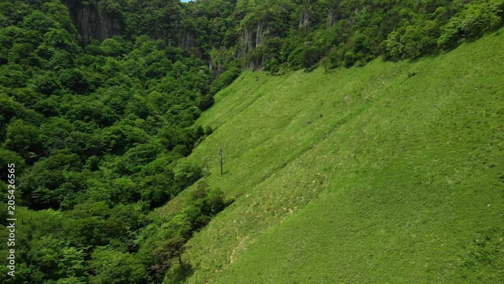 新緑の山を飛ぶ 新緑の山を飛ぶ