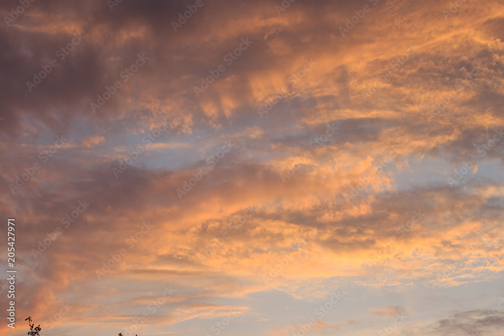 Clouds in the evening sky. Natural background. Soft focus.