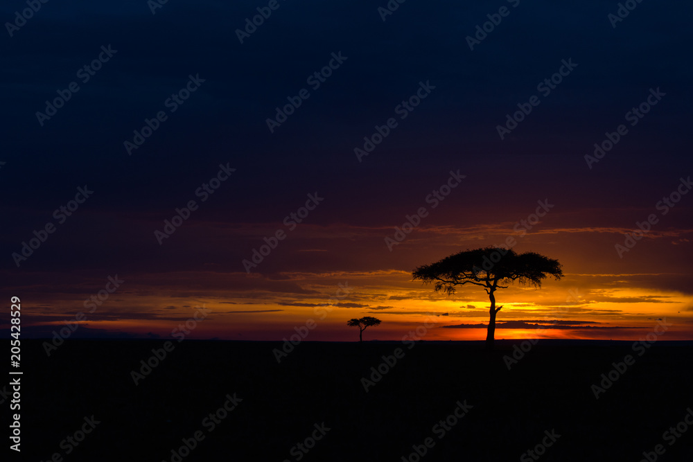Obraz premium Masai Mara at sunset