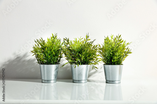 white background of free space and green small plant 
