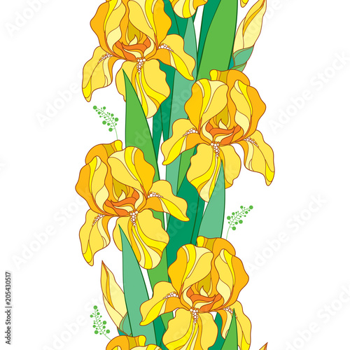 Fototapeta Naklejka Na Ścianę i Meble -  Vector seamless pattern with outline yellow Iris flower, bud and green leaf on the white background. Floral background with ornate Iris in contour style for spring or summer design.