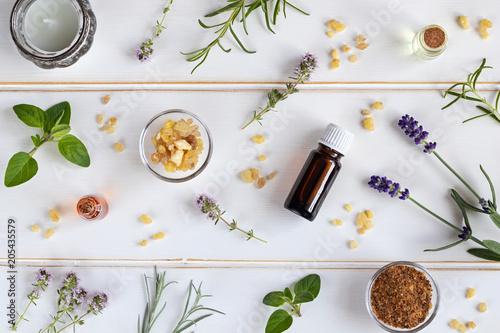 Bottles of essential oil with frankincense, lavender, thyme and other herbs