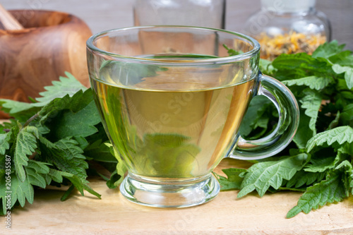 A cup of nettle tea with fresh plant