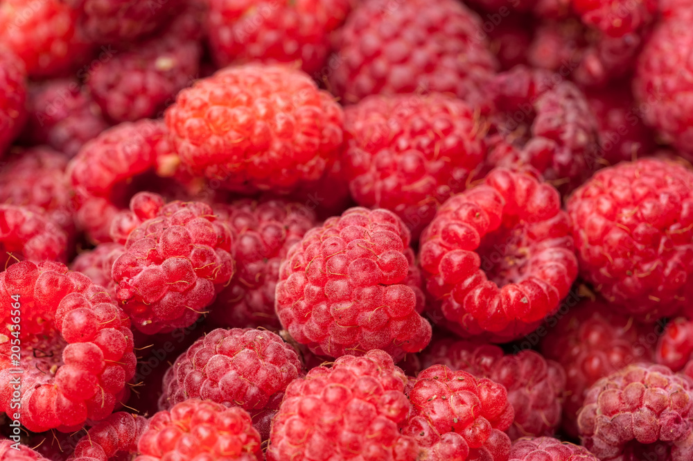 sweet raspberry fruit sweet raspberry fruit