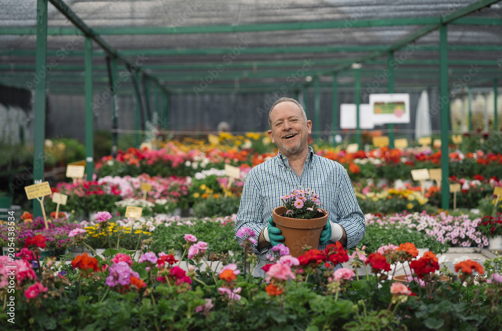 Senior man transplanting plants. Senior man transplanting plants.