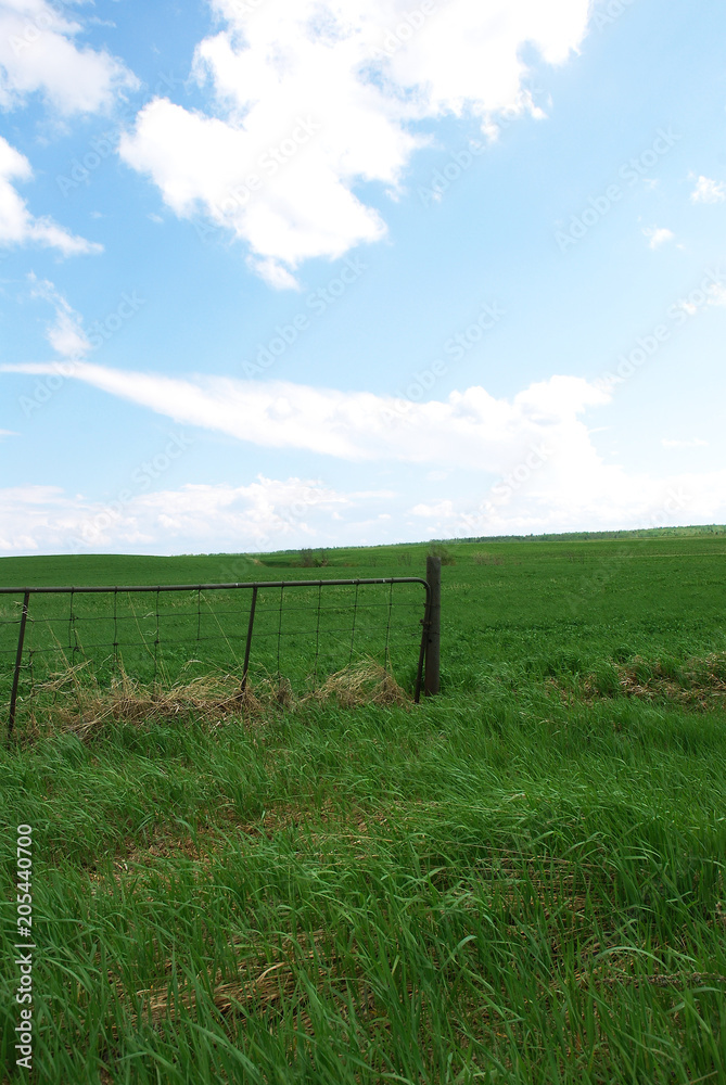 Small Country Gate