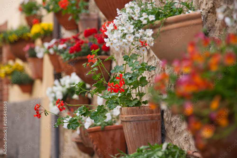 pots of flowers on the walls in a small village in Tuscany