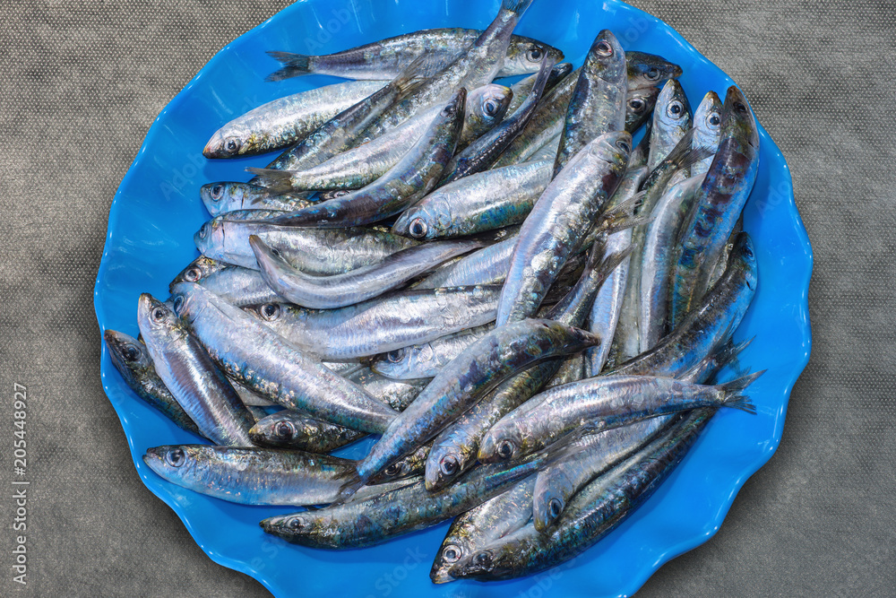 Sardellen auf dem Teller. Fisch zum kochen auf dem Tisch Sardellen auf dem Teller. Fisch zum kochen auf dem Tisch
