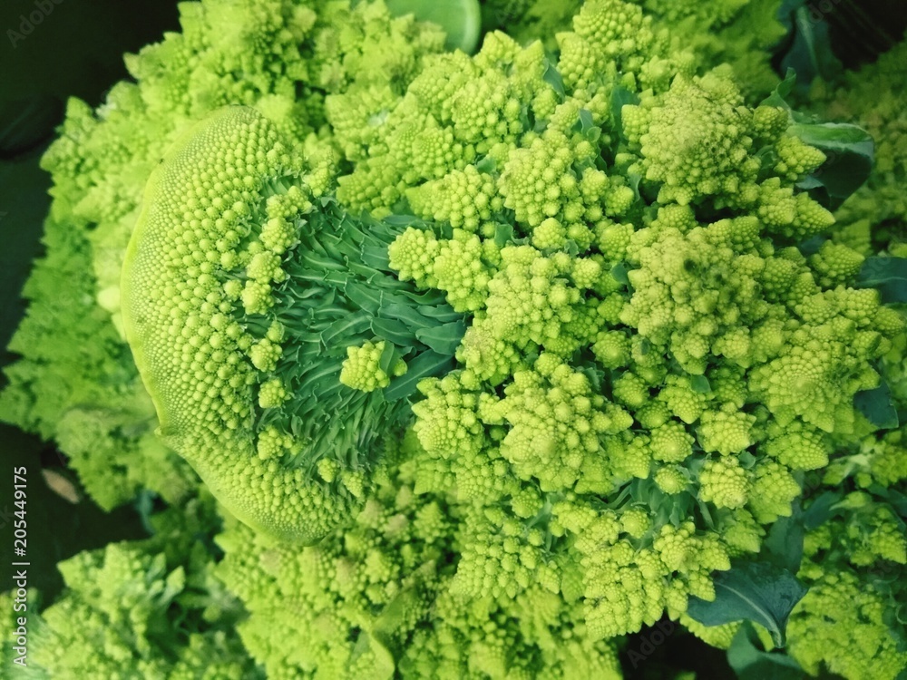 Broccoli and cauliflower,romaneska Broccoli and cauliflower,romaneska