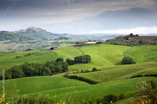 green summer landscape in tuscany  Italy
