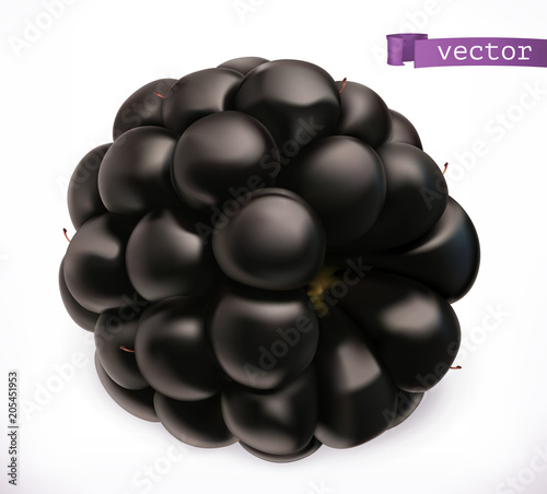 Blackberry. Fresh fruit 3d realistic vector icon