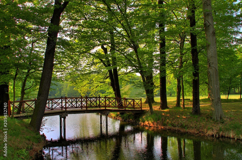 Fototapeta premium Brücke im Branitzer Park