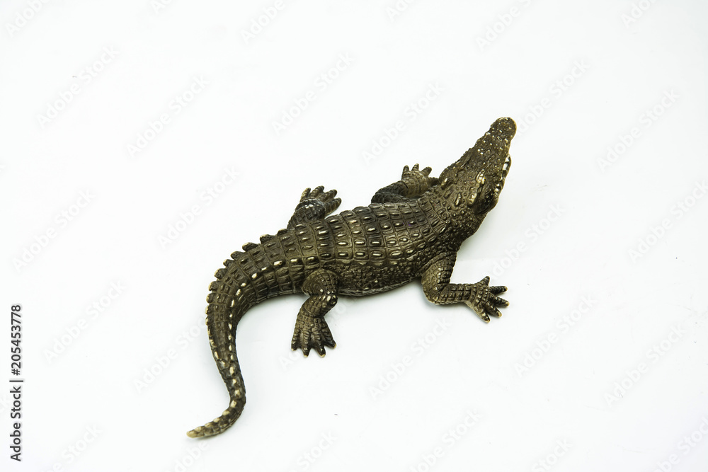 Fototapeta premium crocodile on white background