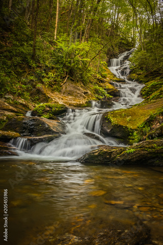 Spring in the Pisgah National Forest of North Carolina