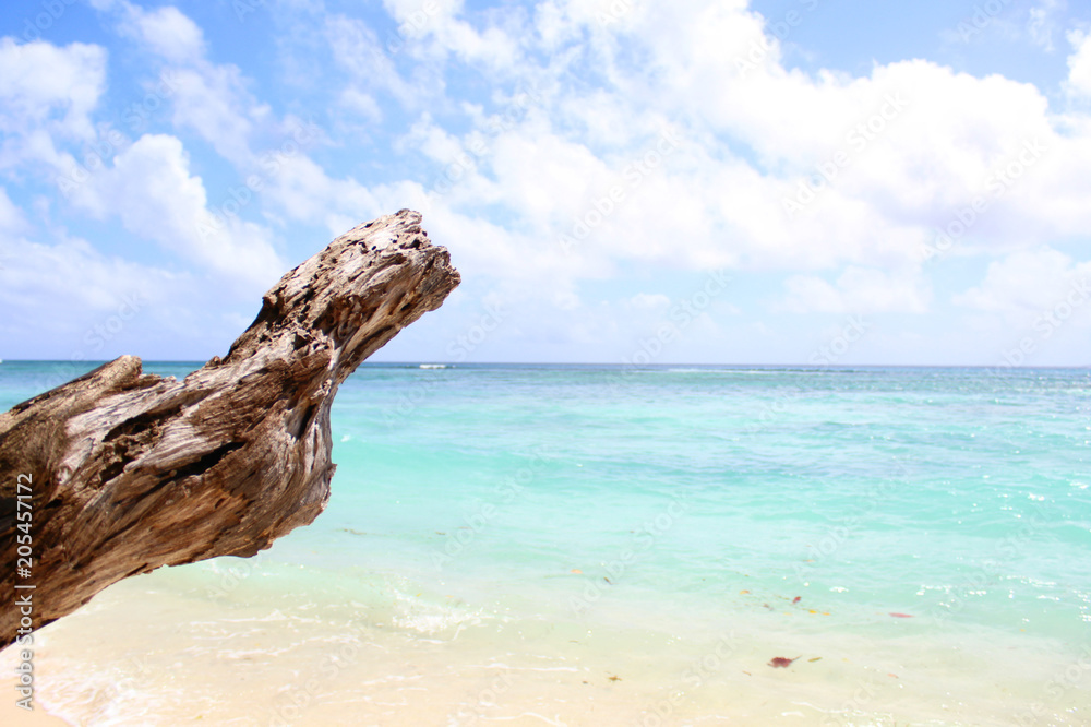 une plage des seychelles 