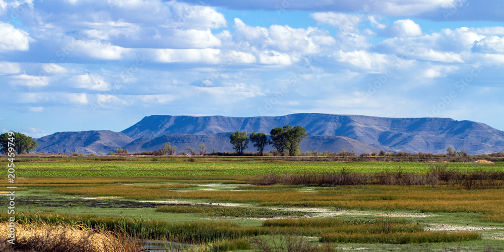 Obraz premium Panorama of the beautiful marsh in Alamosa National Wildlife Refuge at the edge of the Sangre de Cristo Mountains in southern Colorado