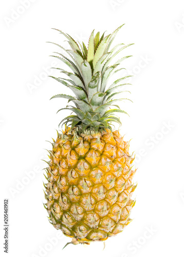 pineapple is tropical fruit isolated on white background