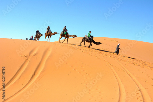サハラ砂漠でラクダに乗る観光客 © TDMMR