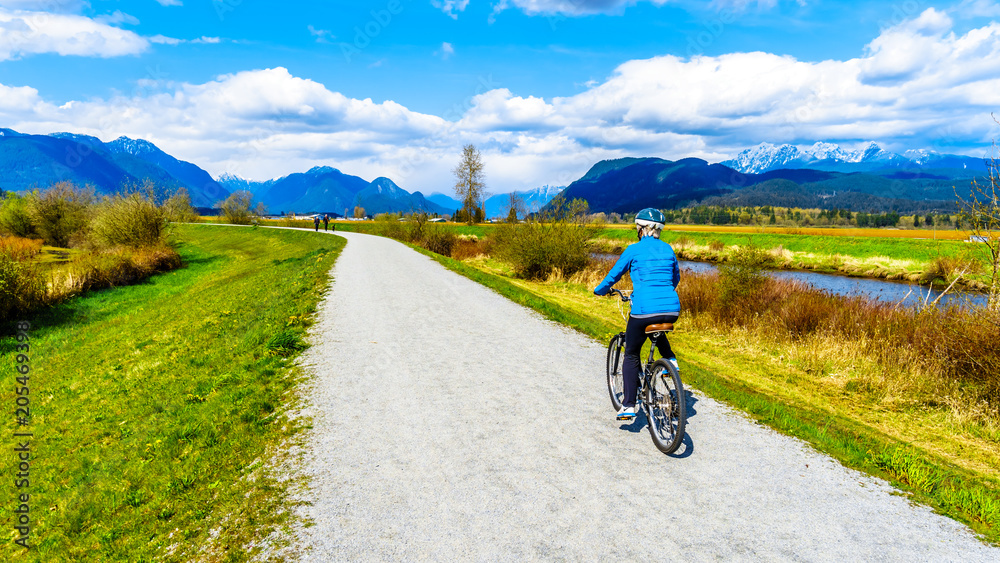 Senior woman biking along the Alouette River on the dyke surrounding Pitt Polder at the town of Maple Ridge in British Columbia, Canada