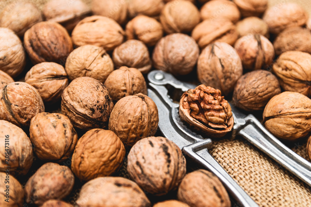 Fresh uncleaned in the shell organic walnuts with nut cracker on sackcloth Fresh uncleaned in the shell organic walnuts with nut cracker on sackcloth