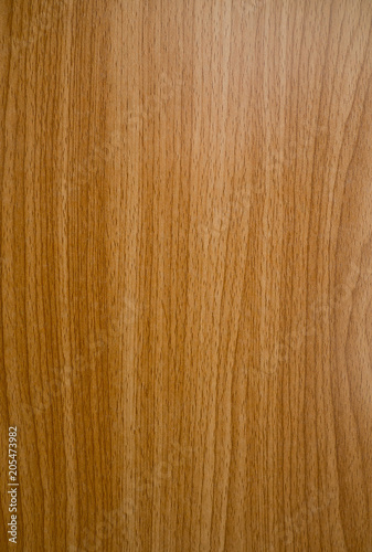 wood background texture, abstract, natural background