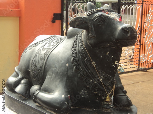 Photography lord siva nandhies beautiful photo