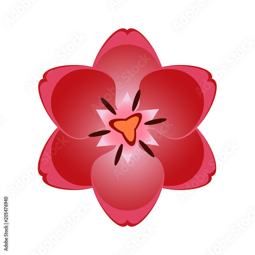 Fototapeta Naklejka Na Ścianę i Meble -  Beautiful overhead red tulip flower blossom isolated on white background. Colorful bloom nature vector illustration