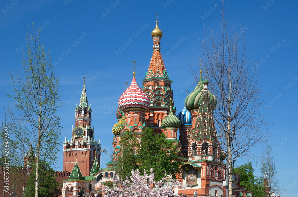 Cathedral of the Intercession of the Holy virgin, the Moat (St. Basil's Cathedral) and the Spasskaya tower of the Moscow Kremlin on a Sunny spring day, Russia