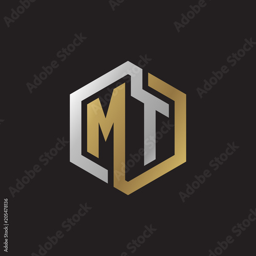 Initial letter MT, looping line, hexagon shape logo, silver gold color on black background photo