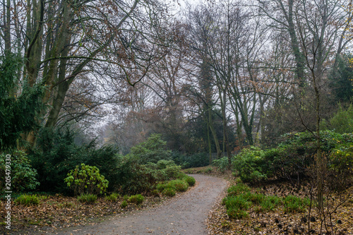 Path in park