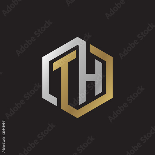 Initial letter TH, looping line, hexagon shape logo, silver gold color on black background