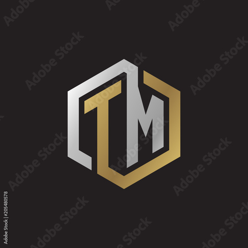 Initial letter TM, looping line, hexagon shape logo, silver gold color on black background