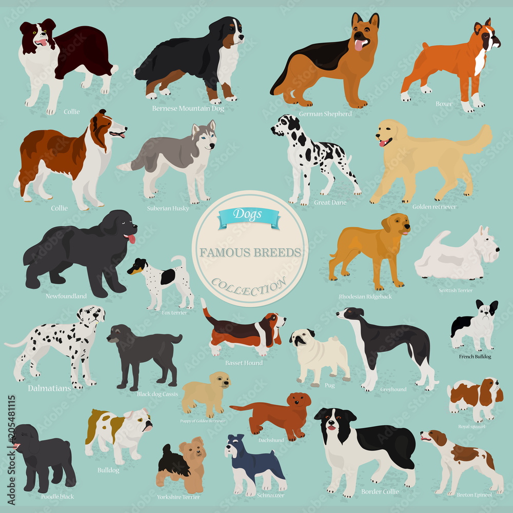 blue dog breeds