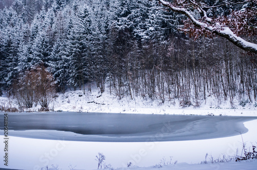 Snowy winter landscape near Brno, Czech Republic, Europe photo