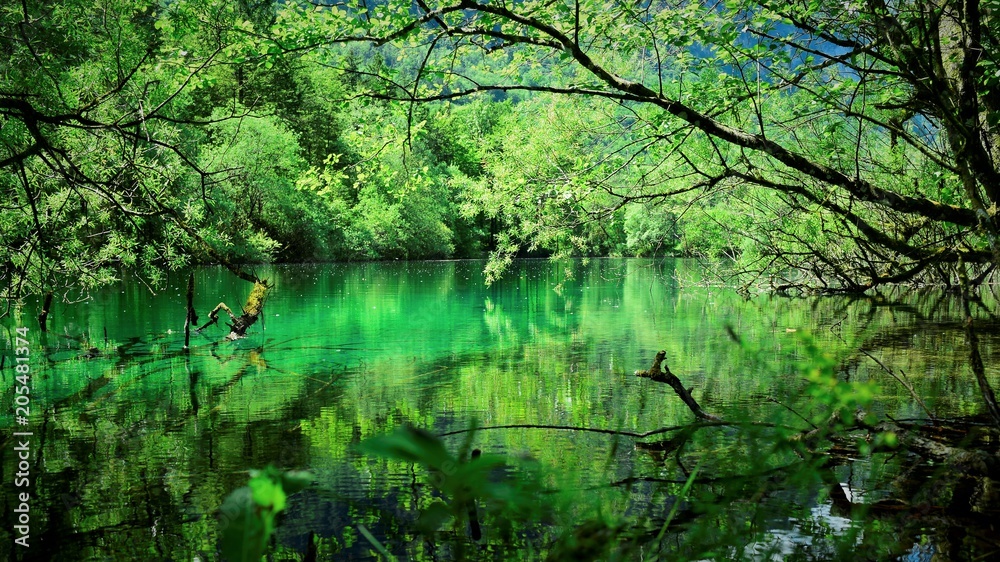See, Wald See, Wald