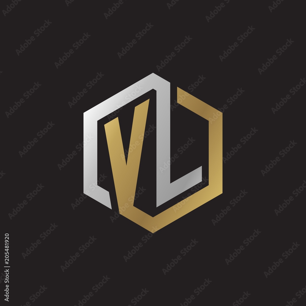 Initial letter VL, looping line, hexagon shape logo, silver gold
