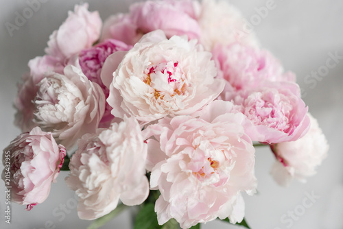 Fototapeta Naklejka Na Ścianę i Meble -  Cute and lovely peony. many layered petals. Bunch pale pink peonies flowers light gray background. Wallpaper, Vertical photo