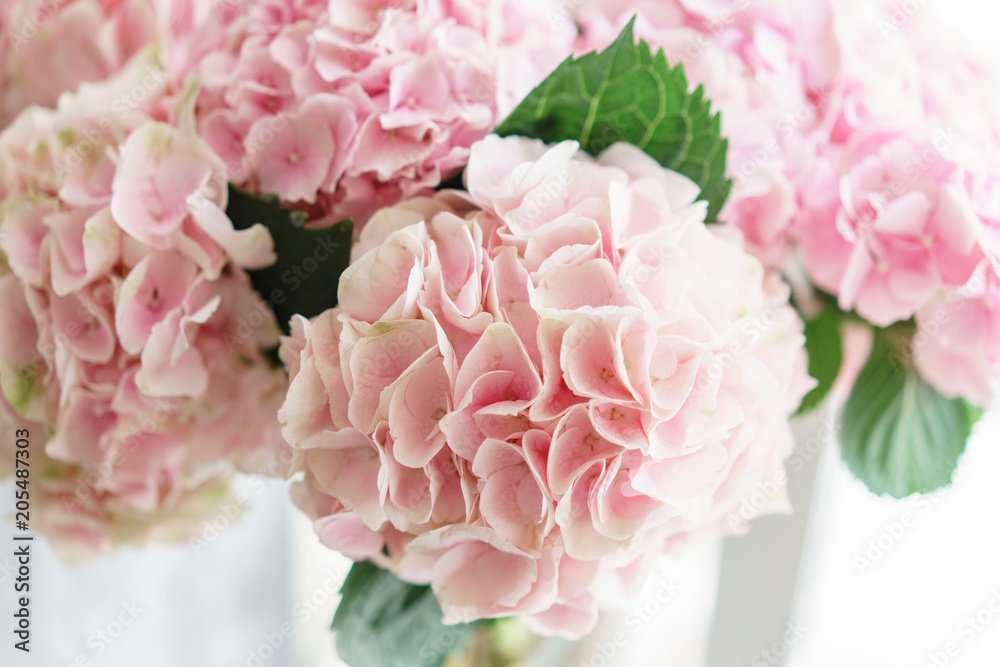 beautiful hydrangea flowers in a vase on a table . Bouquet of light blue, lilac and pink flower. Decoration of home. Wallpaper and background. Vertical photo beautiful hydrangea flowers in a vase on a table . Bouquet of light blue, lilac and pink flower. Decoration of home. Wallpaper and background. Vertical photo