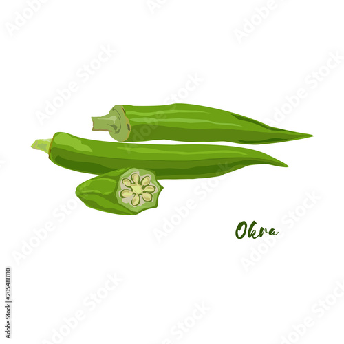 Okra. Flat design. Vector illustration.